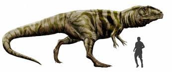 Giganotasurus
